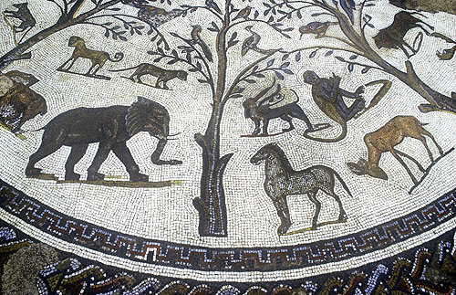 Elephant, other animals and birds, Roman mosaic, Volubilis, Morocco
